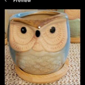 Small Owl Planter w/Saucer-Holes In Bottom Great for succulents Cute!